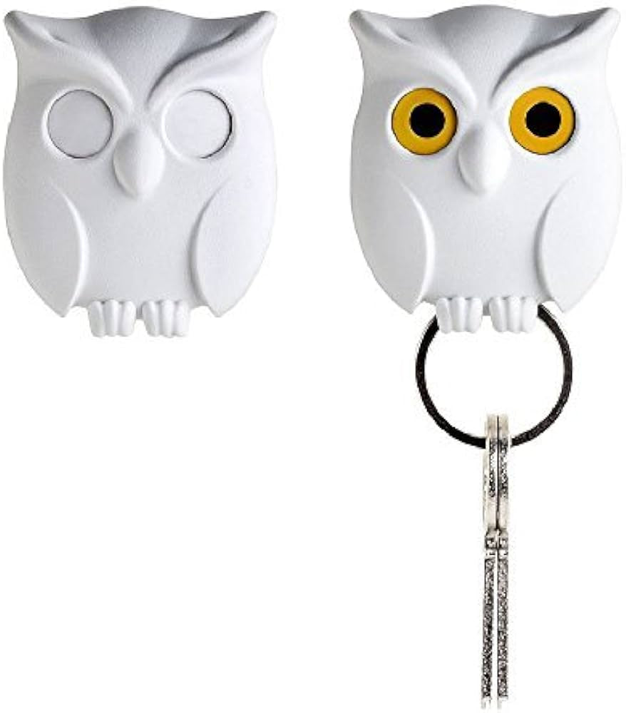 Eule Design Schlüsselhalter magnetisch